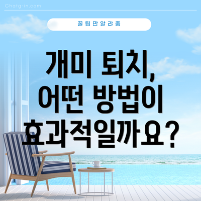 개미 퇴치, 어떤 방법이 효과적일까요?
