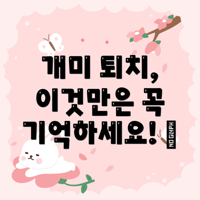 개미 퇴치, 이것만은 꼭 기억하세요! ✅