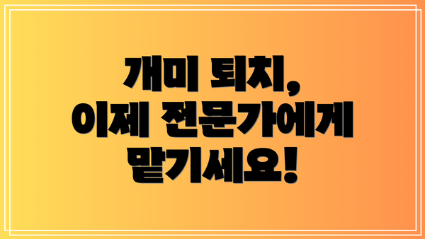 개미 퇴치, 이제 전문가에게 맡기세요!