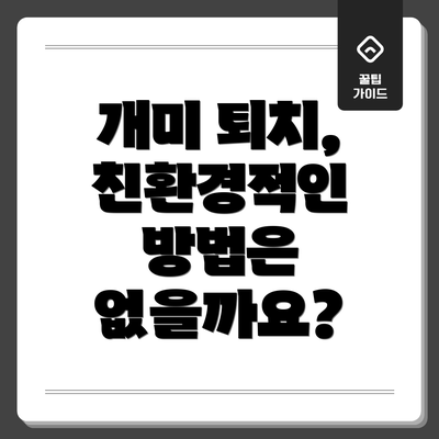 개미 퇴치, 친환경적인 방법은 없을까요?