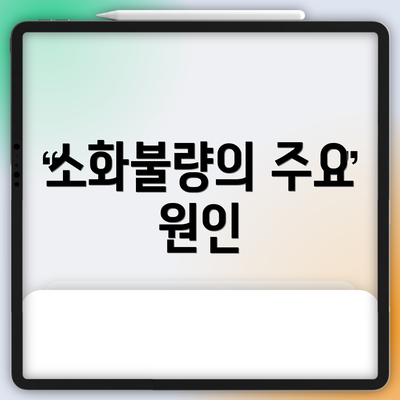 소화불량의 주요 원인