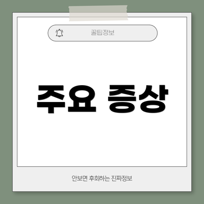 주요 증상