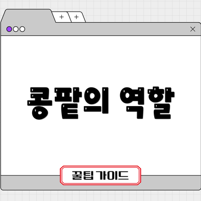 콩팥의 역할