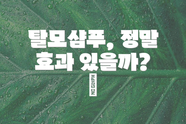 탈모샴푸, 정말 효과 있을까? 🤔