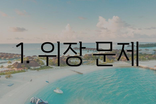 1. 위장 문제