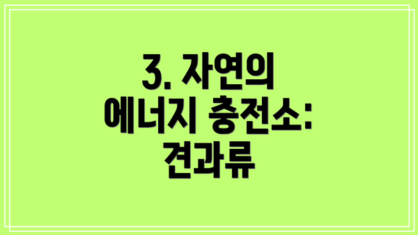 3. 자연의 에너지 충전소: 견과류