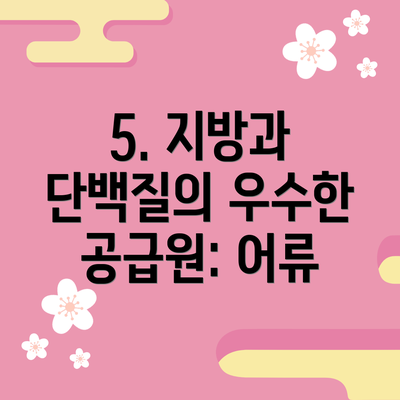 5. 지방과 단백질의 우수한 공급원: 어류