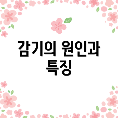 감기의 원인과 특징