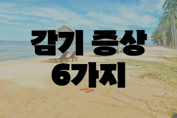 감기 증상 6가지