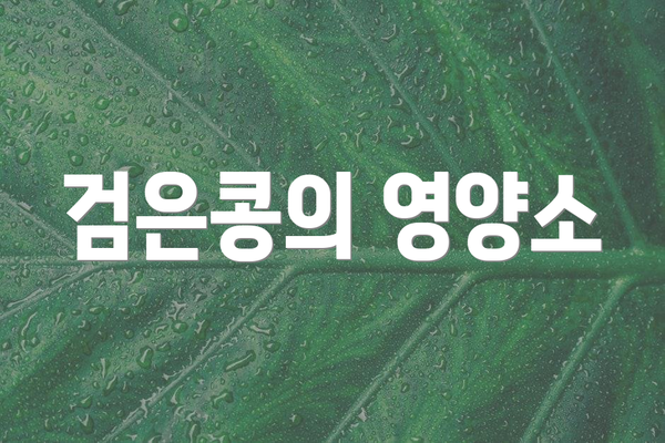 검은콩의 영양소