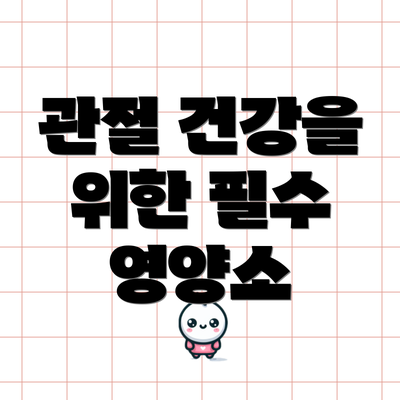 관절 건강을 위한 필수 영양소