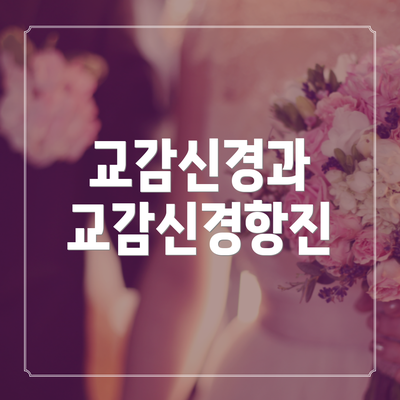 교감신경과 교감신경항진