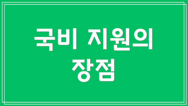 국비 지원의 장점