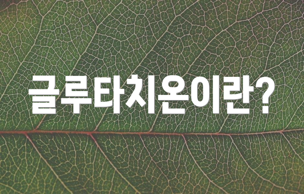 글루타치온이란?