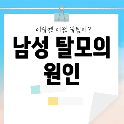 남성 탈모의 원인