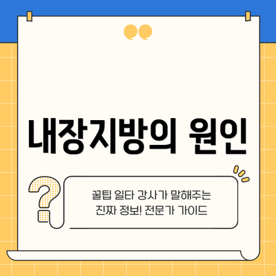 내장지방의 원인