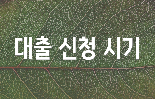 대출 신청 시기