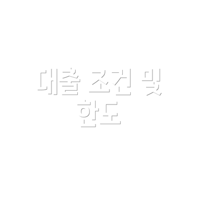 대출 조건 및 한도