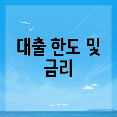 대출 한도 및 금리
