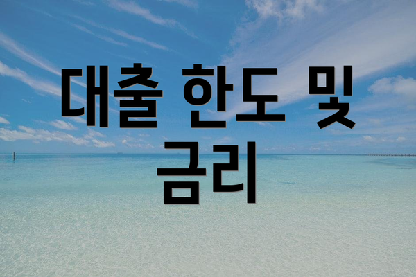 대출 한도 및 금리