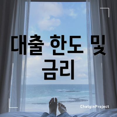 대출 한도 및 금리