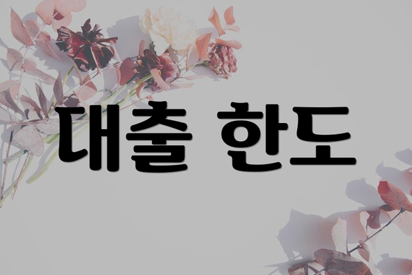 대출 한도