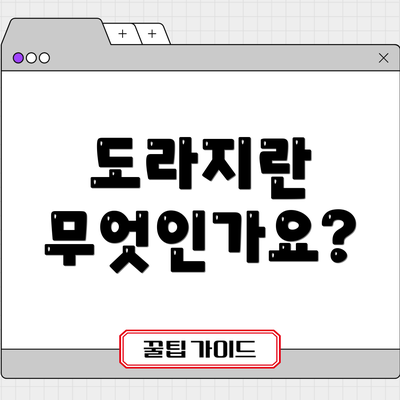 도라지란 무엇인가요?