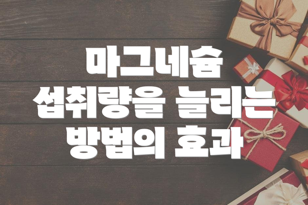 마그네슘 섭취량을 늘리는 방법의 효과