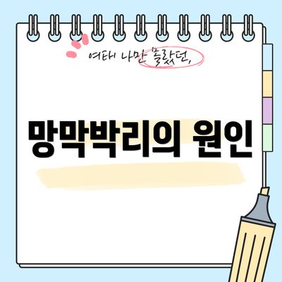 망막박리의 원인