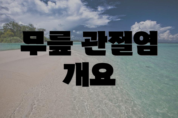 무릎 관절염 개요