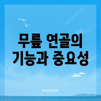 무릎 연골의 기능과 중요성