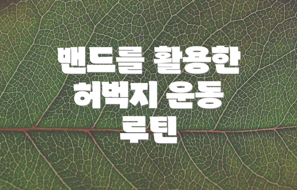 밴드를 활용한 허벅지 운동 루틴