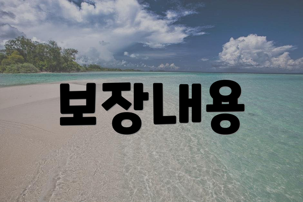 보장내용