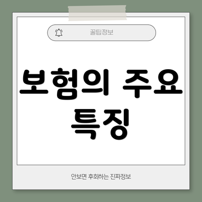 보험의 주요 특징