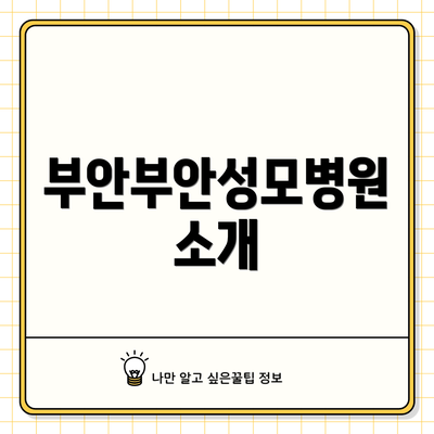 부안부안성모병원 소개