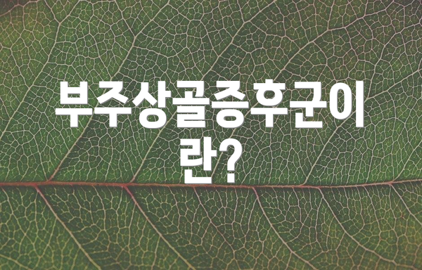 부주상골증후군이란?