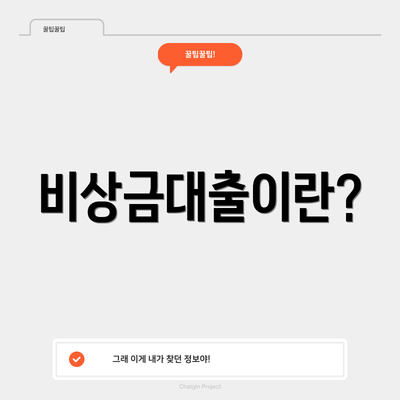 비상금대출이란?