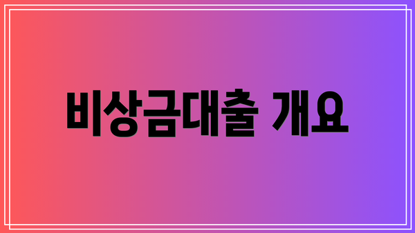 비상금대출 개요