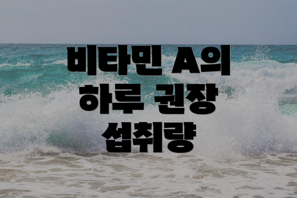 비타민 A의 하루 권장 섭취량