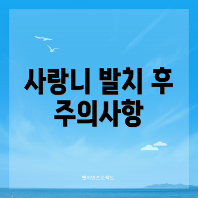 사랑니 발치 후 주의사항