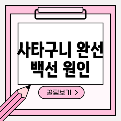 사타구니 완선 백선 원인