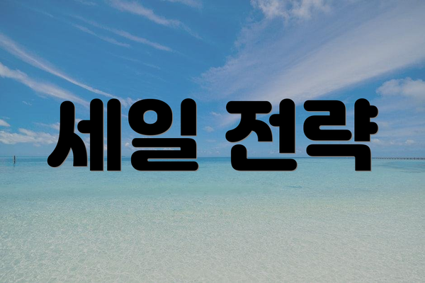 세일 전략