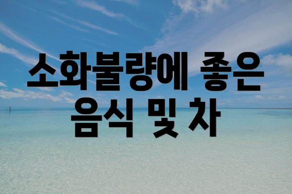 소화불량에 좋은 음식 및 차