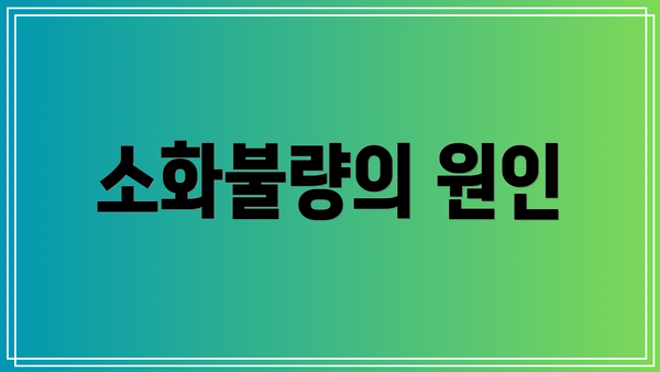 소화불량의 원인