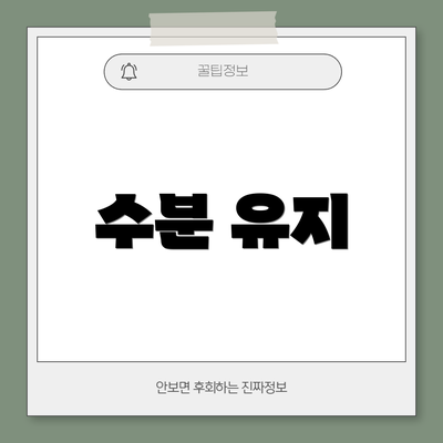 수분 유지