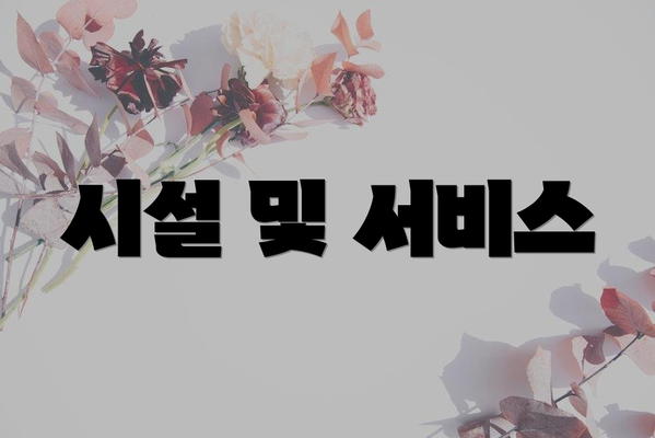 시설 및 서비스