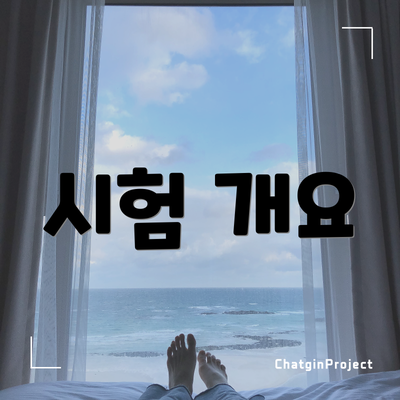 시험 개요
