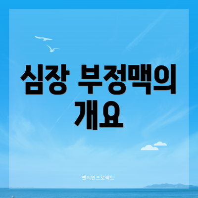 심장 부정맥의 개요