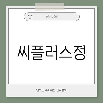씨플러스정