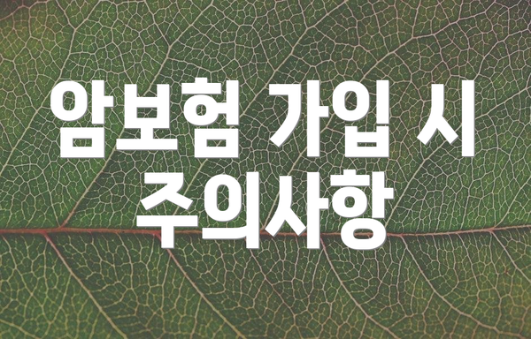 암보험 가입 시 주의사항